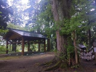 唐松神社の参拝記録(ＦÙKUさん)