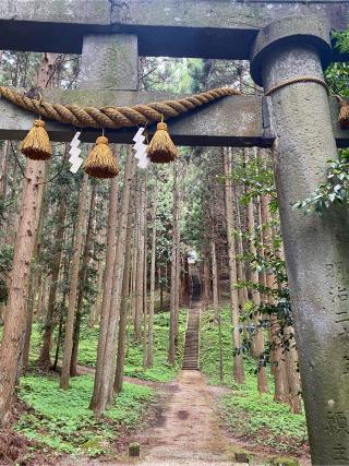 大物忌神社の参拝記録(きゃさりんさん)