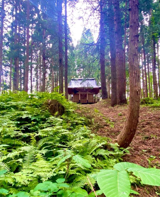 七高山神社の参拝記録1