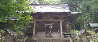 金澤八幡宮の参拝記録(桃さん)