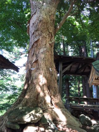 愛宕神社の参拝記録(春人さん)
