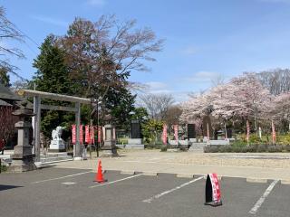 櫻岡大神宮の参拝記録(おさやんさん)