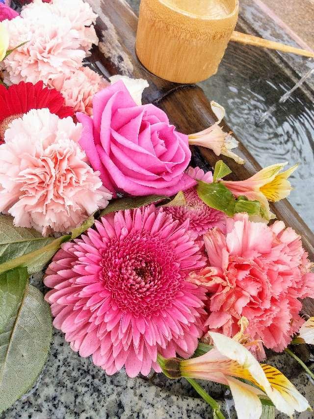 諏訪神社の参拝記録6
