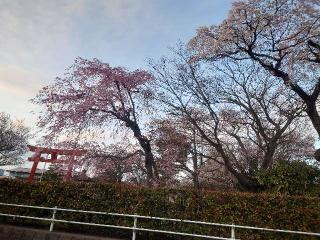 諏訪神社の参拝記録(コフンくんさん)