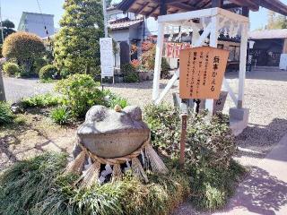 諏訪神社の参拝記録(ハシさん)