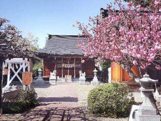 諏訪神社の参拝記録(ハシさん)