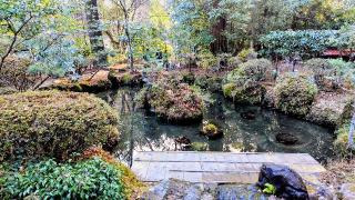 青麻神社の参拝記録(オトギリルさん)