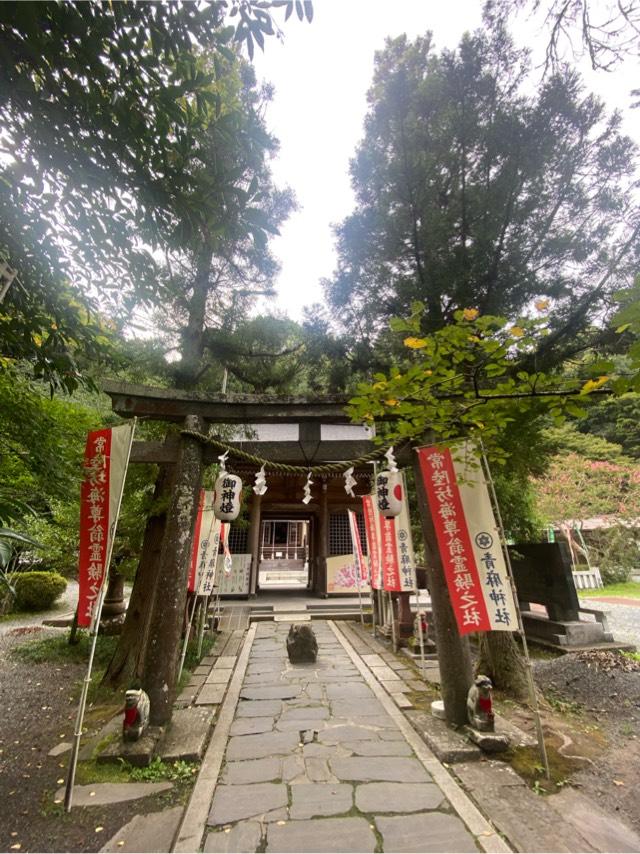 青麻神社の参拝記録7