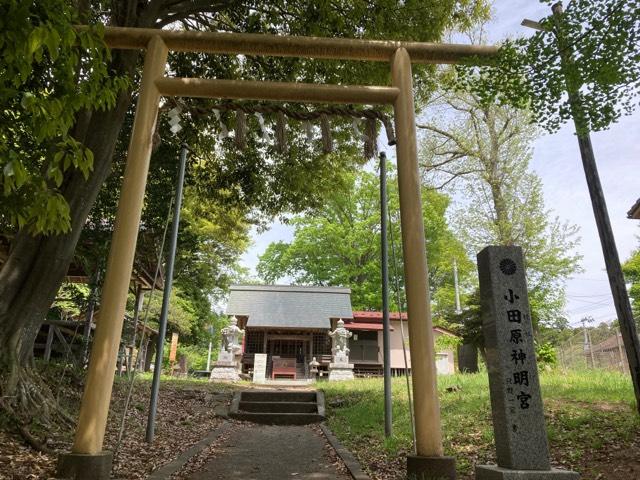 小田原神明宮の参拝記録2