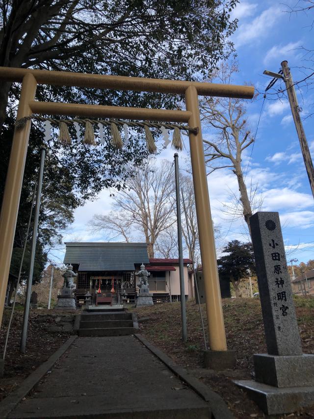 小田原神明宮の参拝記録3