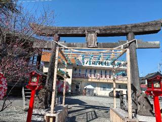 仙台八坂神社の参拝記録(まちるださん)