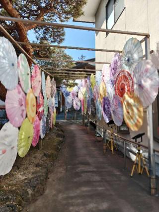仙台八坂神社の参拝記録(まちるださん)
