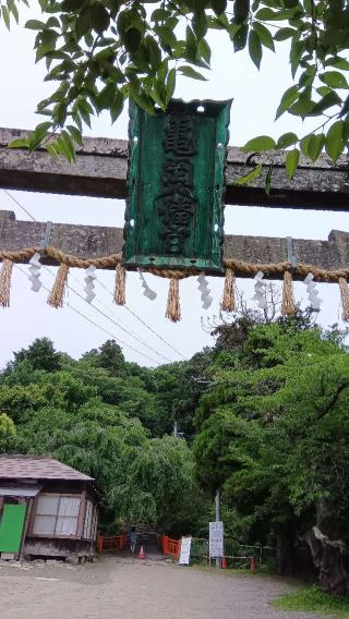 亀岡八幡宮の参拝記録(ひろ神社仏閣さん)