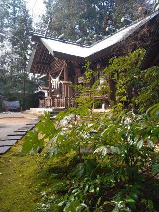 神明社の参拝記録(桃さん)