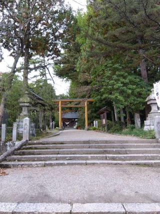 神明社の参拝記録(ブッチャーさん)