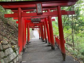 萬蔵稲荷神社の参拝記録(炙さん)