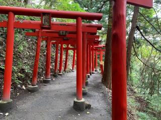 萬蔵稲荷神社の参拝記録(炙さん)