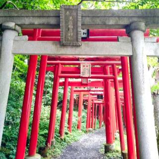 萬蔵稲荷神社の参拝記録(桃さん)