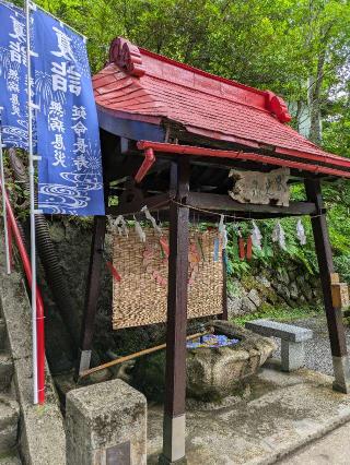 萬蔵稲荷神社の参拝記録(道道産子さん)