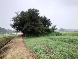 鉾附神社の参拝記録(コフンくんさん)