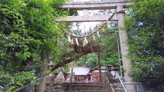 白鳥神社の参拝記録(ひろ神社仏閣さん)