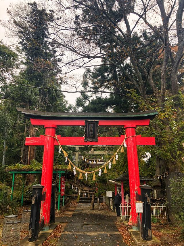 白鳥神社の参拝記録8