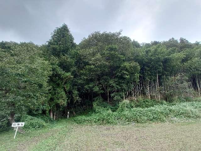 八重垣神社の参拝記録1