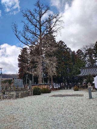 秋保神社の参拝記録(ぶちさん)