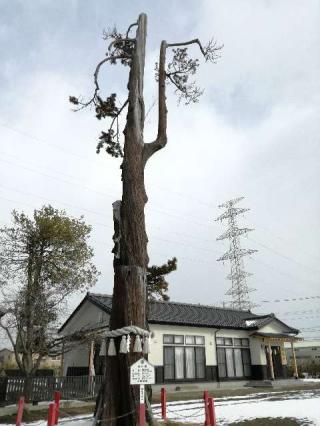 八幡神社の参拝記録(こうさん)