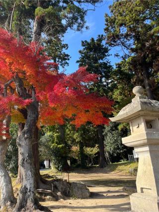 陸奥総社宮の参拝記録(ユータさん)