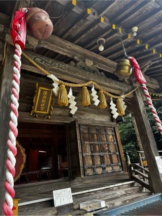 陸奥総社宮の参拝記録(さくらさん)