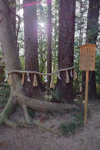 宇那禰神社の参拝記録(すぐちゃんさん)