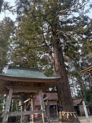 宇那禰神社の参拝記録(みいさん)
