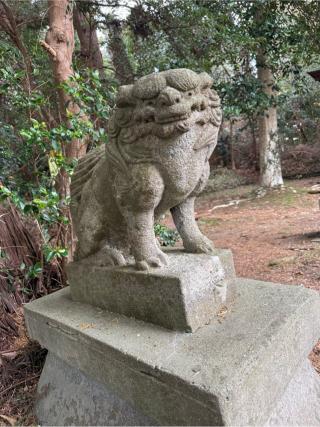 鼻節神社の参拝記録(メタボーンさん)