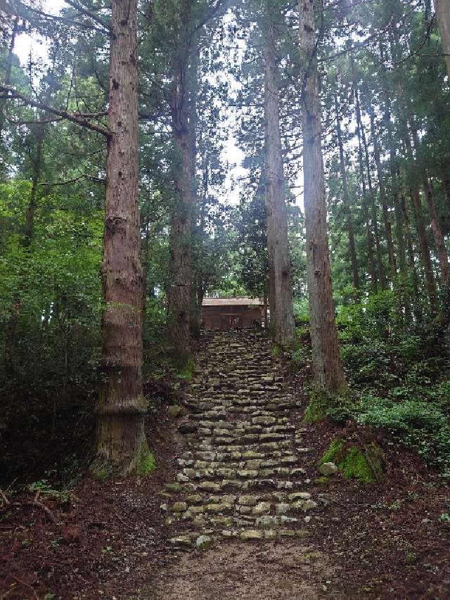鶴ヶ峰八幡神社の参拝記録(コフンくんさん)