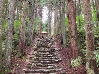 鶴ヶ峰八幡神社の参拝記録(MA-323さん)