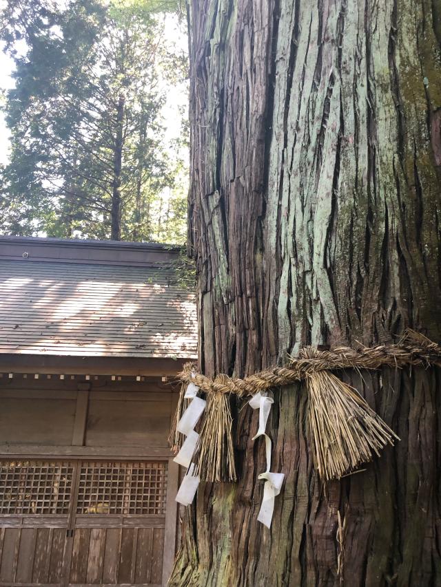 石神山精神社の参拝記録4
