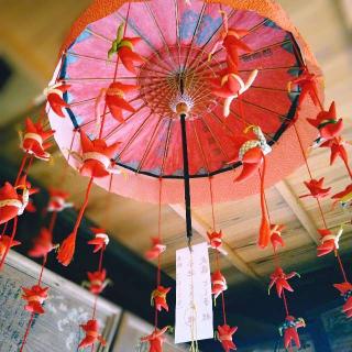 姫宮神社の参拝記録(桃さん)