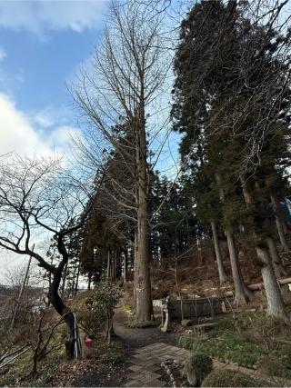 大衡八幡神社の参拝記録(メタボーンさん)