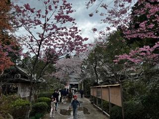 涌谷神社の参拝記録(いっくんさん)