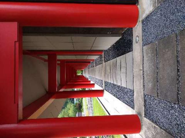 宮城県遠田郡涌谷町涌谷字黄金宮前23 黄金山神社の写真4