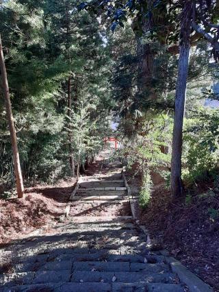 大崎八幡神社の参拝記録(あられさん)