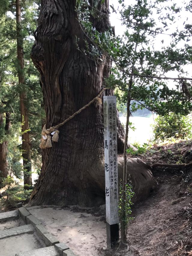 宮城県大崎市田尻八幡字御殿坂16番地 大崎八幡神社の写真3