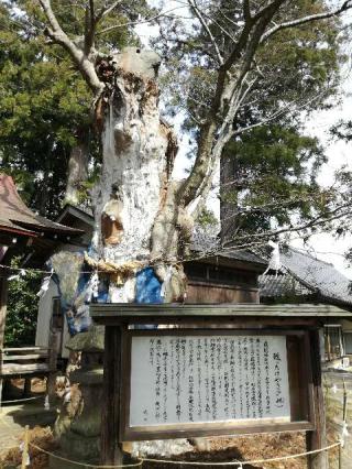 鹿嶋神社の参拝記録(こうさん)