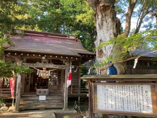 鹿嶋神社の参拝記録(MA-323さん)