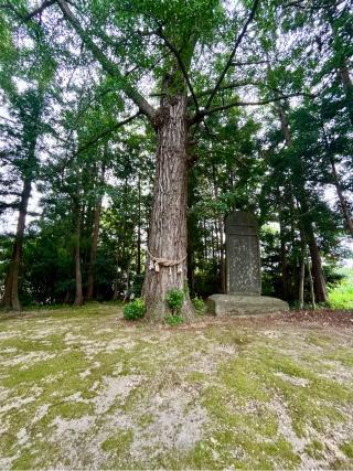 鹿嶋神社の参拝記録(ユータさん)