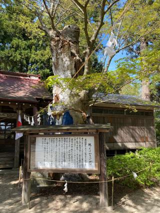 鹿嶋神社の参拝記録(ブースカさん)