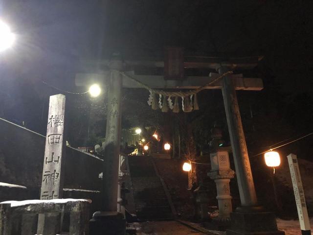 櫻田山神社の写真1