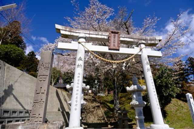 櫻田山神社の参拝記録7