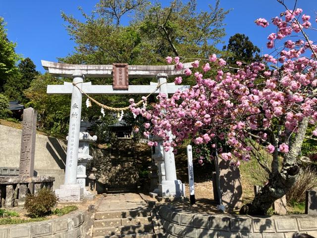 櫻田山神社の参拝記録6